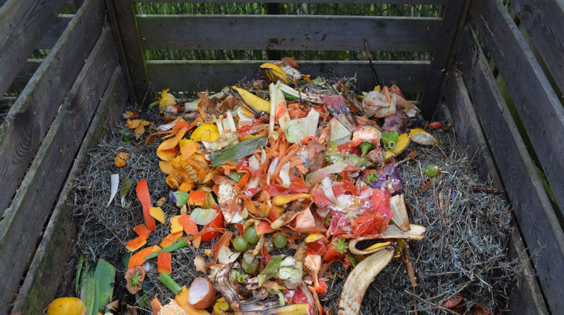 An organic pile of fruit and vegetables in a bin, ready for composting.