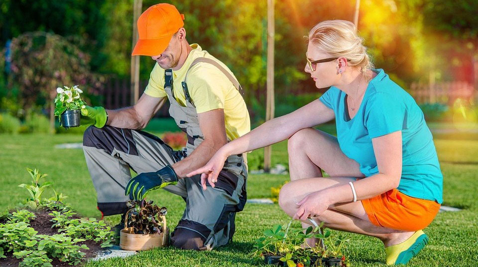 A man and woman are growing their own organic food in a garden.