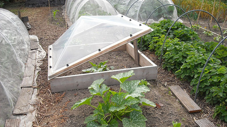 An organic greenhouse in a garden.