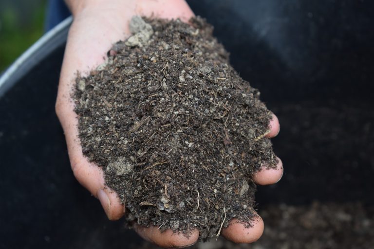 An Advanced Organic Gardener holding a bucket of soil while implementing tips for healthy plant growth.