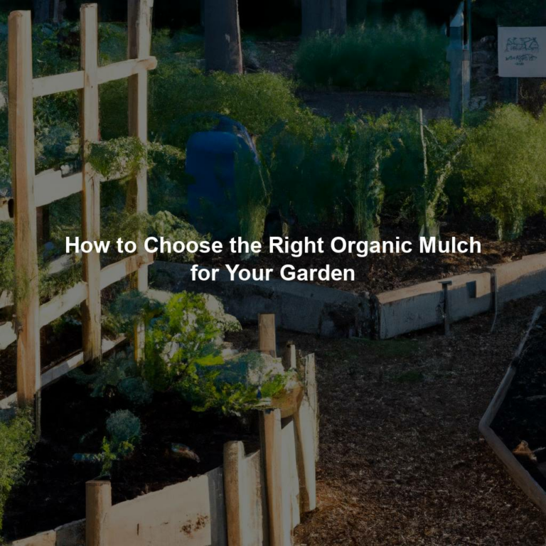 A raised garden bed.