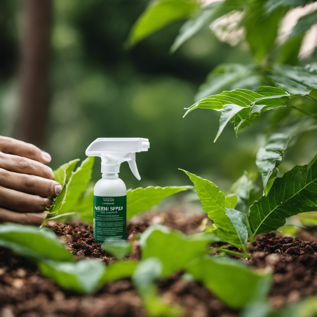 An image showcasing the process of making DIY Neem Spray for Garden Pests