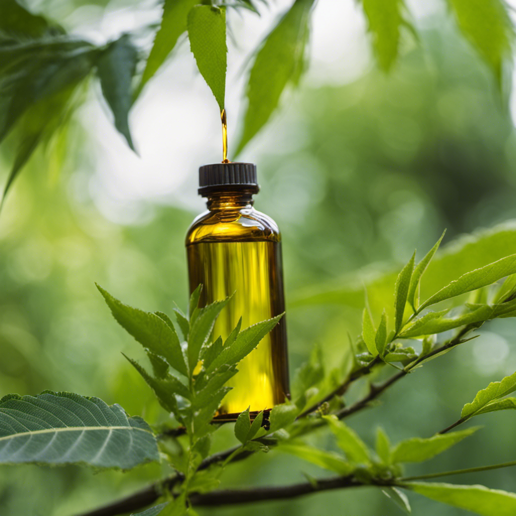 An image showcasing the evolution of neem oil as a natural insecticide