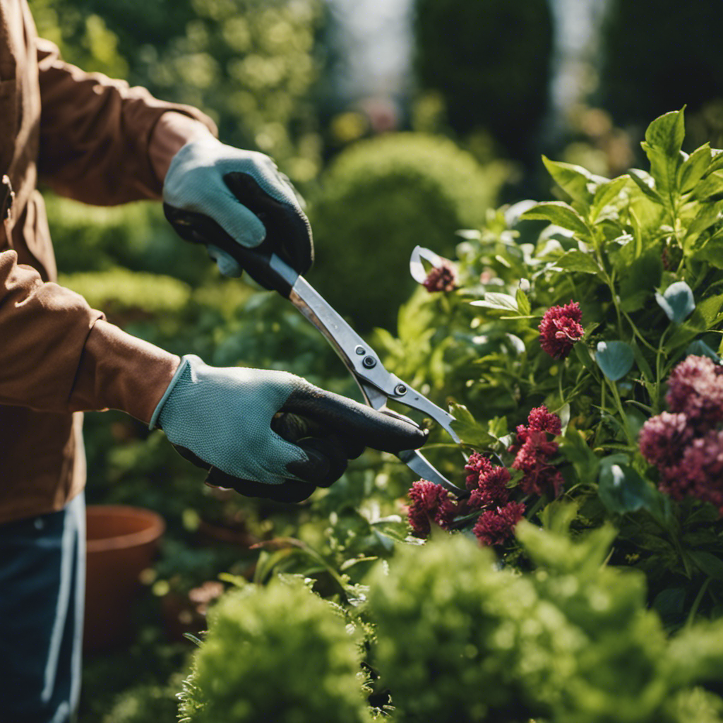 An image showing a gardener wearing gloves, pruning shears in hand, carefully removing dead leaves and branches from plants