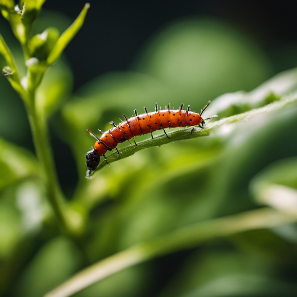 An image that showcases various pests commonly found in vegetable gardens, such as aphids, slugs, and caterpillars